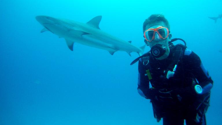 Müssen wir vor Haien Angst haben? 