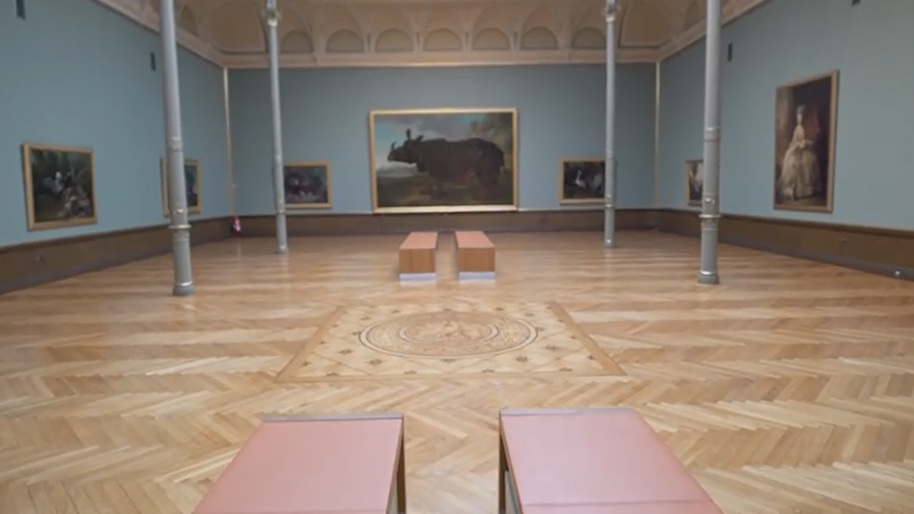 Das Bild zeigt das Museum Schwerin, ein altes Gebäude in griechischem Säulenstil, und Umgebung von außen
