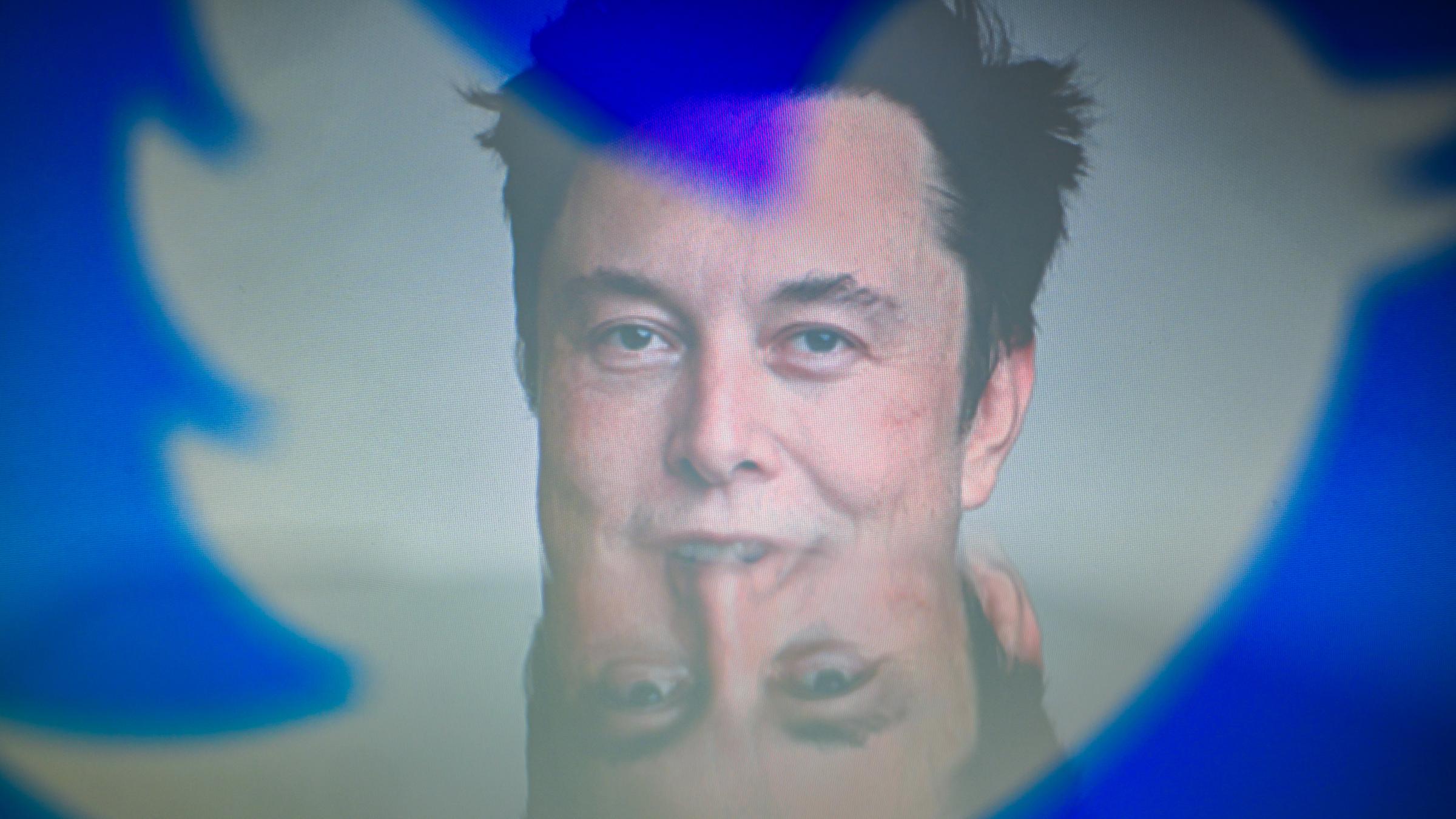 Elon Musk, gespiegelt im Twitter-Logo