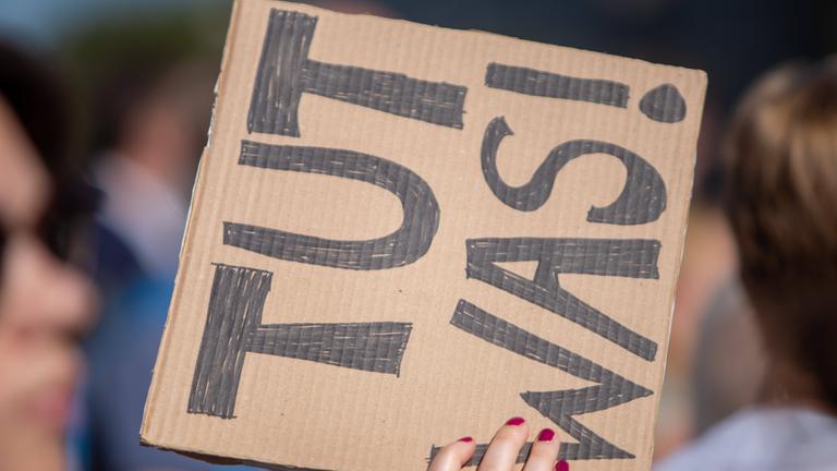 Pappschild mit der Aufschrift Was tun - hochgehalten auf einer Fridays-for-Future-Demo