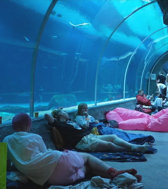 Menschen mit Schlafsäcken im Ozeantunnel des Zoos in Lodz