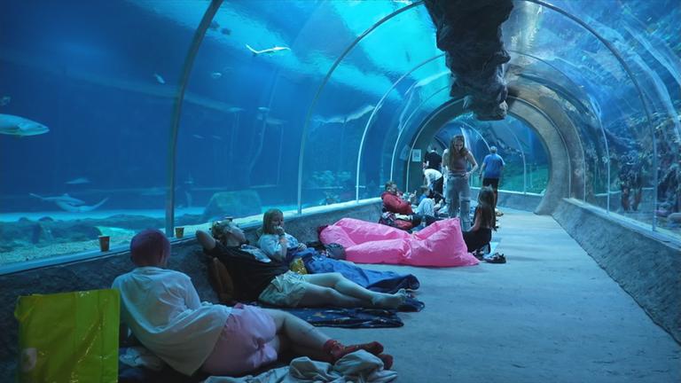 Menschen mit Schlafsäcken im Ozeantunnel des Zoos in Lodz