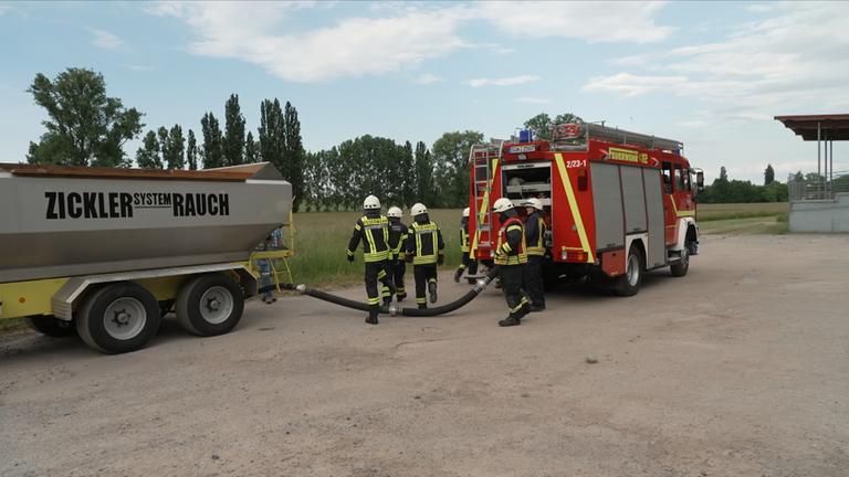 nahaufnahme: "Red Farmer"