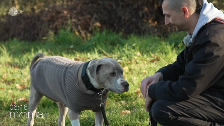 nahaufnahme-tierpfleger