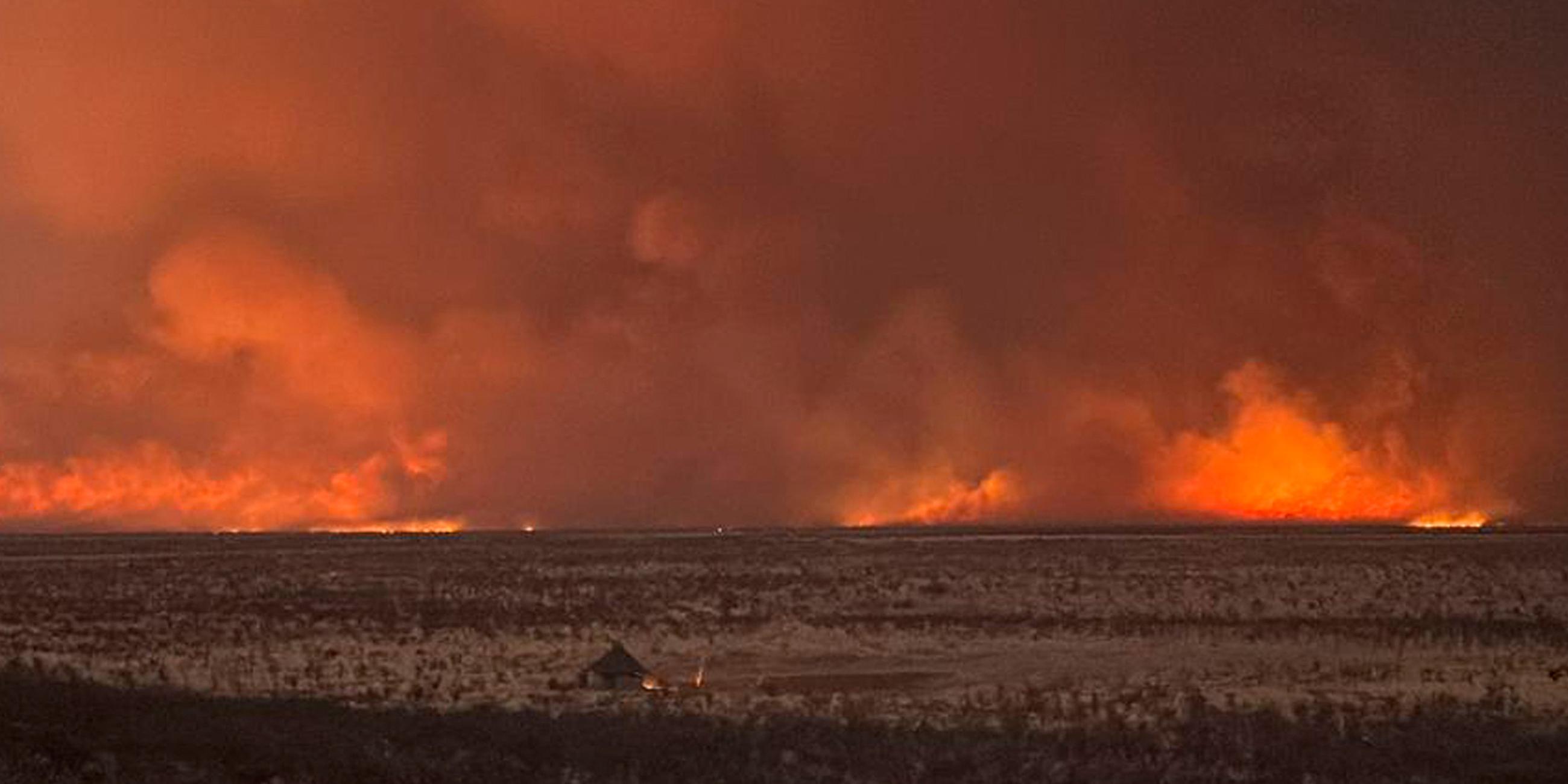 Am 28. September 2025 setzte Namibia 500 Soldaten ein, um einen Brand zu bekämpfen, der bereits ein Drittel des weitläufigen Etosha-Nationalparks zerstört hat.