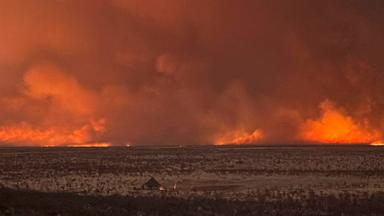 Am 28. September 2025 setzte Namibia 500 Soldaten ein, um einen Brand zu bekämpfen, der bereits ein Drittel des weitläufigen Etosha-Nationalparks zerstört hat.