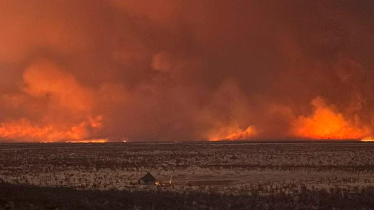 Am 28. September 2025 setzte Namibia 500 Soldaten ein, um einen Brand zu bekämpfen, der bereits ein Drittel des weitläufigen Etosha-Nationalparks zerstört hat.