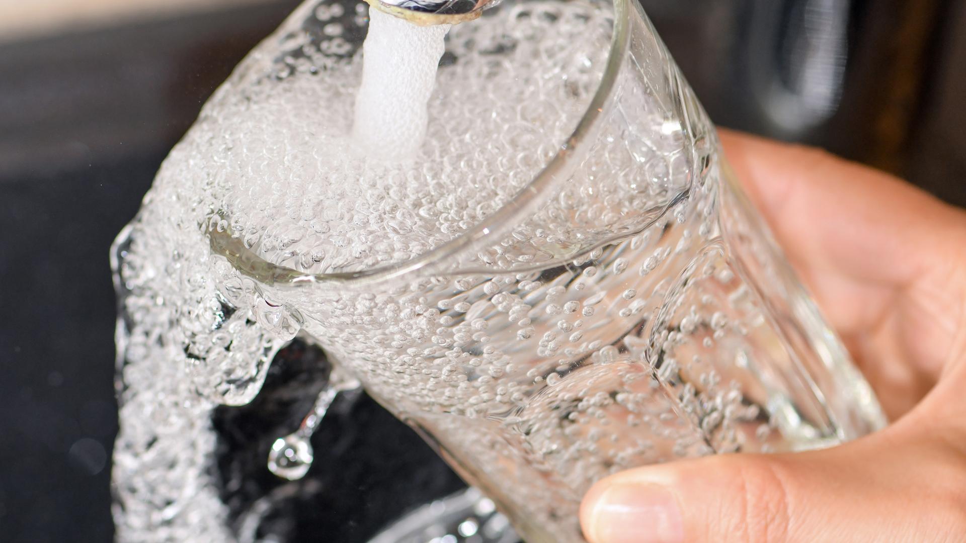 Es wird ein Glas am Wasserhahn mit Leistungswasser gefüllt.