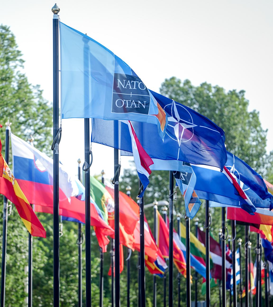 Flaggen der NATO-Staaten