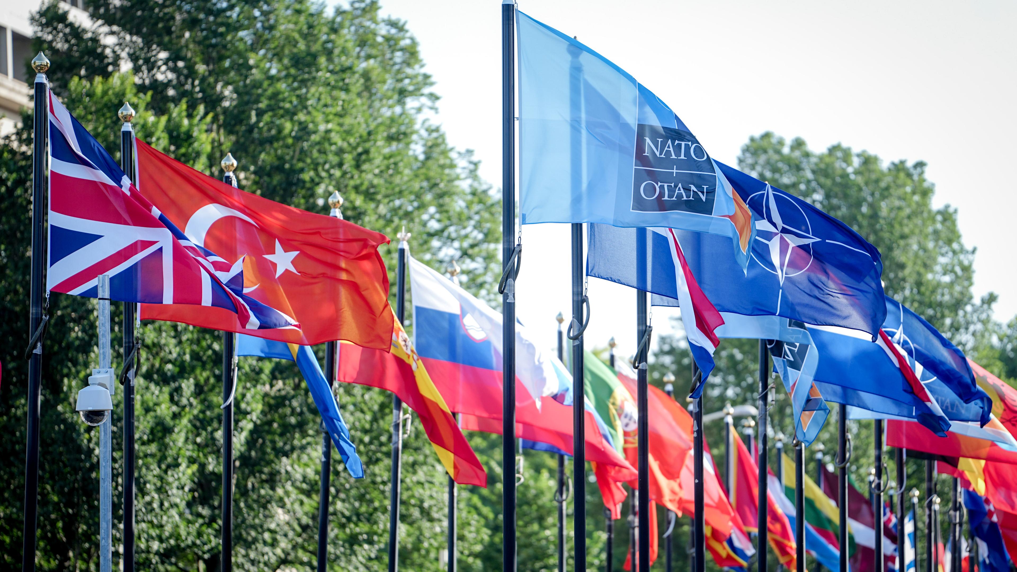 Flaggen der NATO-Staaten
