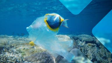 Natur - die Geschichte unseres Planeten