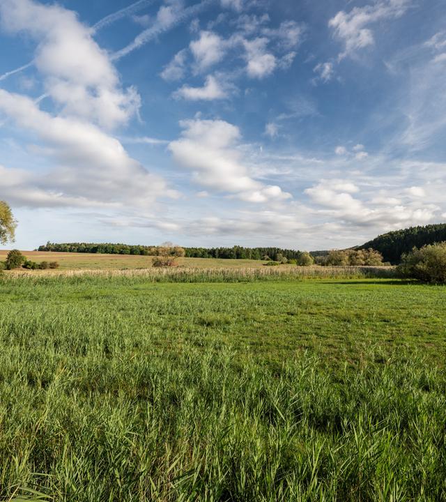 Die Sonne scheint am Morgen über einem Naturschutzgebiet bei Rottweil.