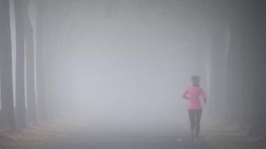Sonne, Nebel, Sprühregen: So wird das Wetter zum Wochenstart
