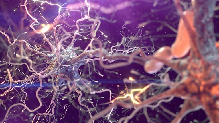 Grafik einer Nervenzelle in einem Netzwerk von weiteren Nervenzellen im menschlichen Gehirn.