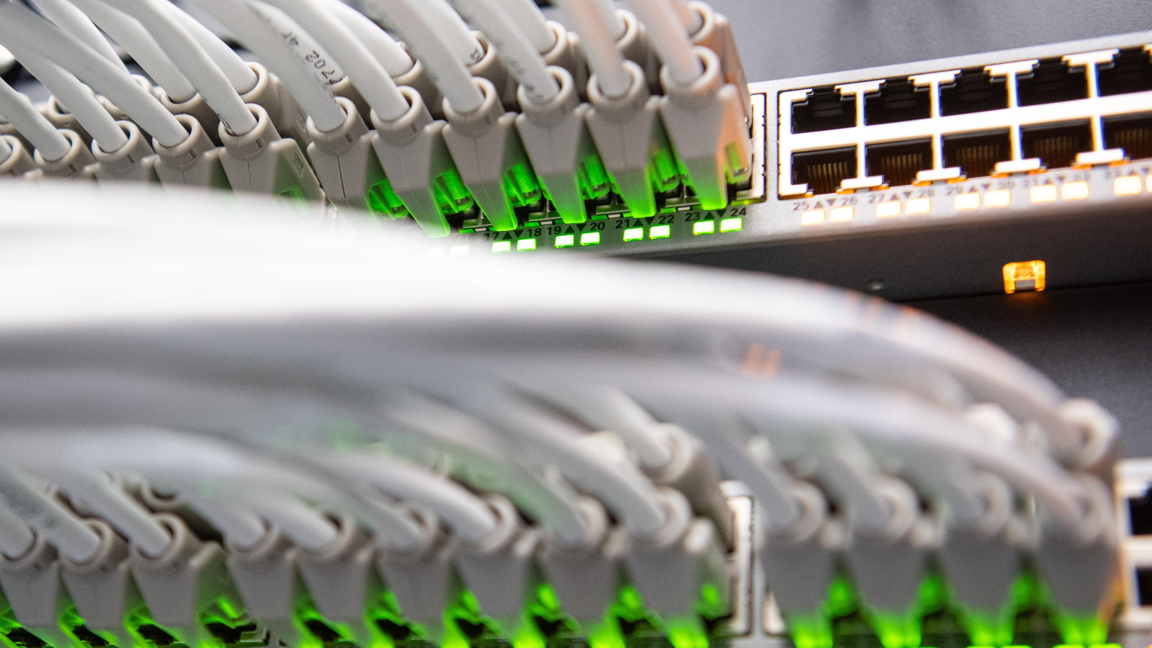 Bayern, München: Netzwerkkabel stecken in einem Rechenzentrum vom bayerischen Landeskriminalamt (BLKA) in einem Netzwerk-Switch.