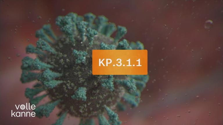 Neue Corona-Variante KP.3.1.1