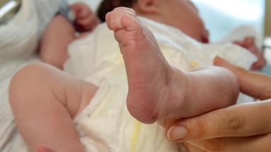 Sachsen-Anhalt, Halle (Saale): In einer Geburtsklinik an einem Krankenhaus hält eine Hebamme die Füßchen eines erst wenige Stunden alten Neugeborenes in ihren Händen.