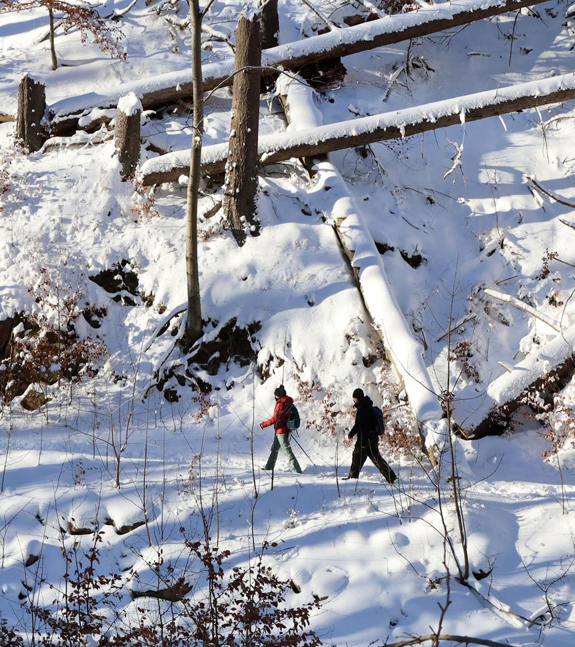 Wanderer sind bei sonnigem Wetter und Neuschnee im Ilsetal im Harz unterwegs. (Archiv)