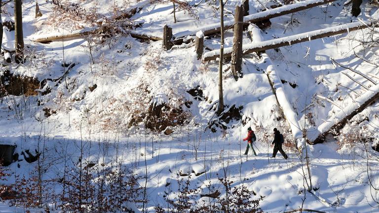 Wanderer sind bei sonnigem Wetter und Neuschnee im Ilsetal im Harz unterwegs. (Archiv)