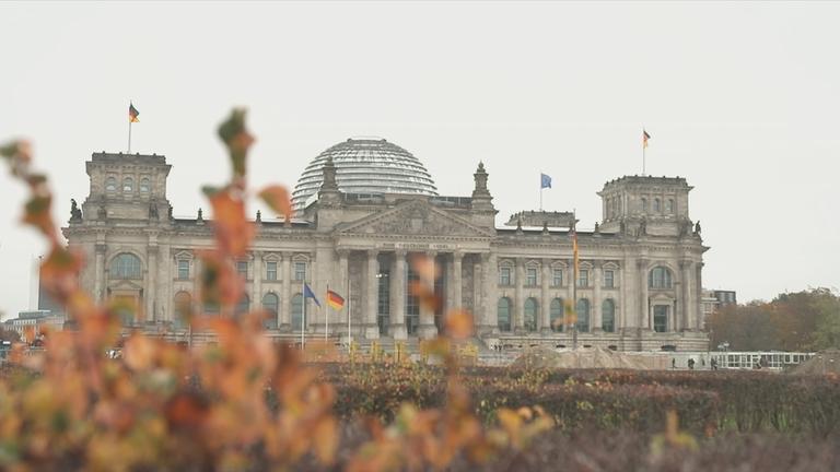 Neuwahlen-Bundestag