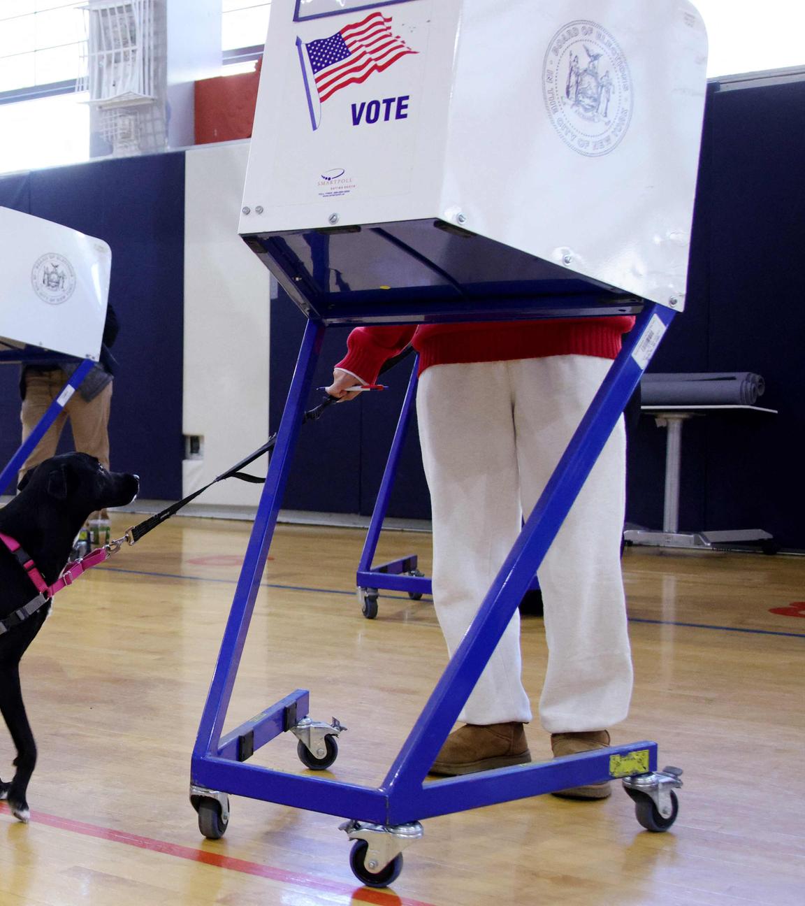 A voter marks her ballot at a polling location at Frank Sinatra School of Arts in the Queens borough of New York City