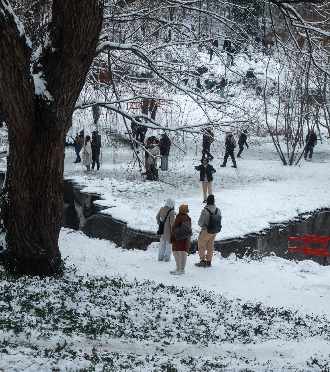Ein verschneiter Central Park