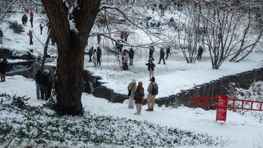 Ein verschneiter Central Park