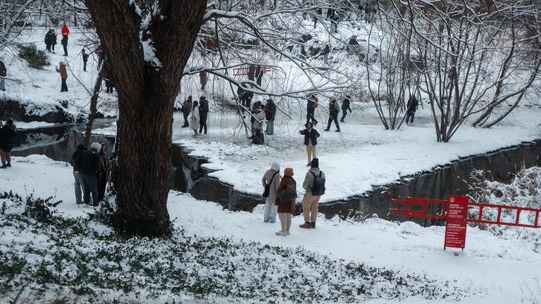 Ein verschneiter Central Park
