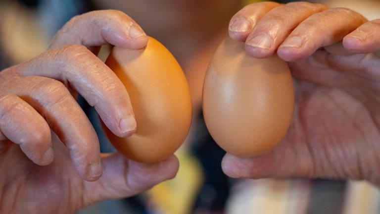 Zwei Eier werden in die Kamera gehalten.