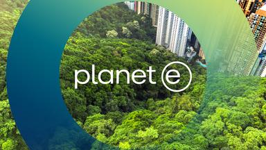 planet e.-Logo