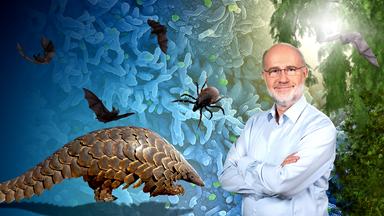 Collage: Professor Harald Lesch vor Männern mit Schutzanzügen und Fledermäusen