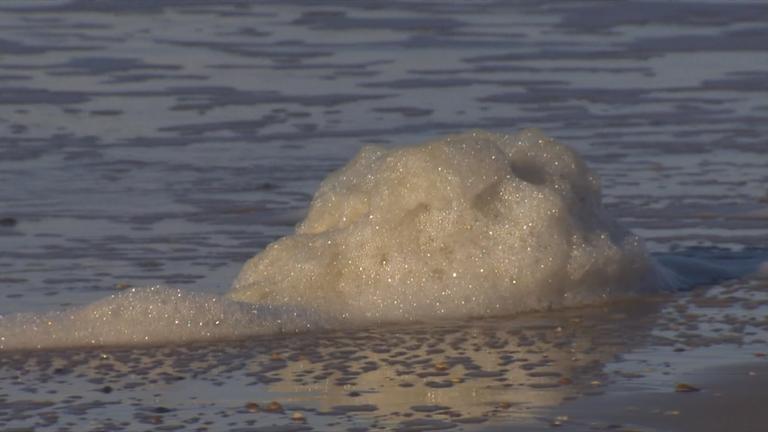 Niederlande: Deutsche verschmutzen Rhein