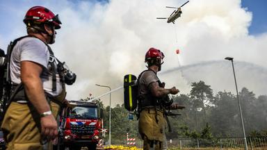 Waldbrände: Wo sie noch wüten und wo sich die Lage entspannt