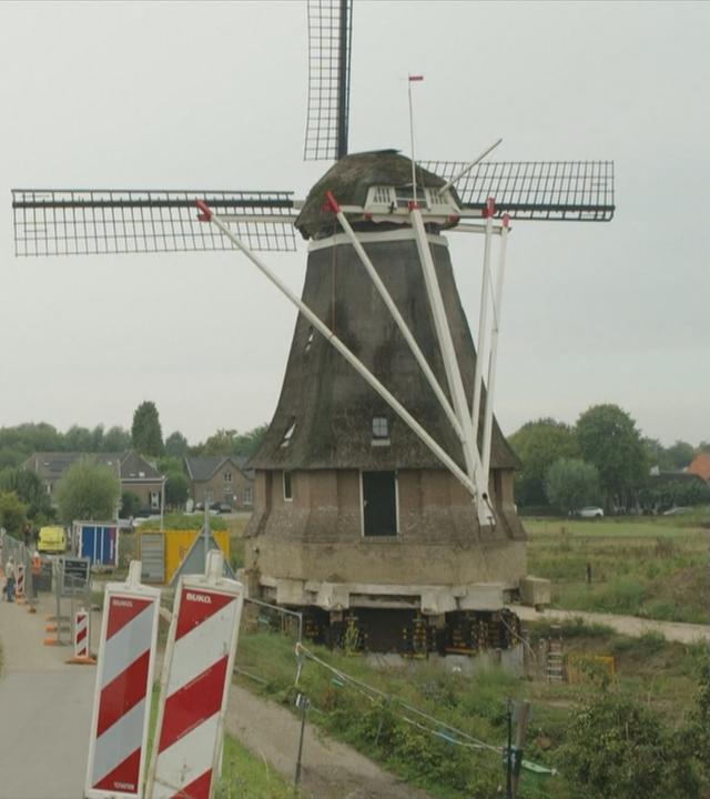 Windmühle bei Waardenburg