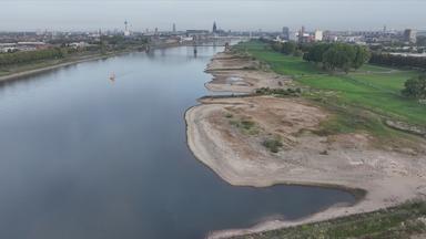 Der Rhein mit Niedrigwasser 