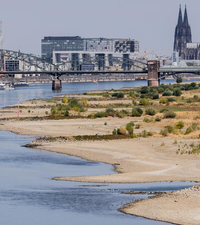 Niedrigwasser am Rhein bei Köln
