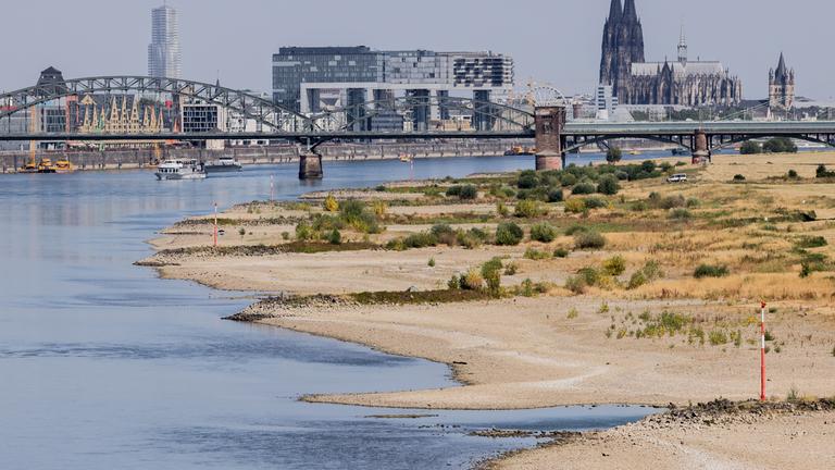 Niedrigwasser am Rhein bei Köln