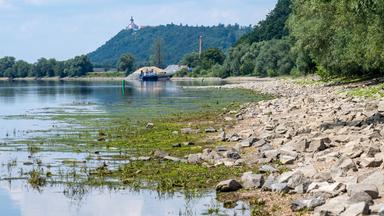 Niedriger Wasserstand der Donau.