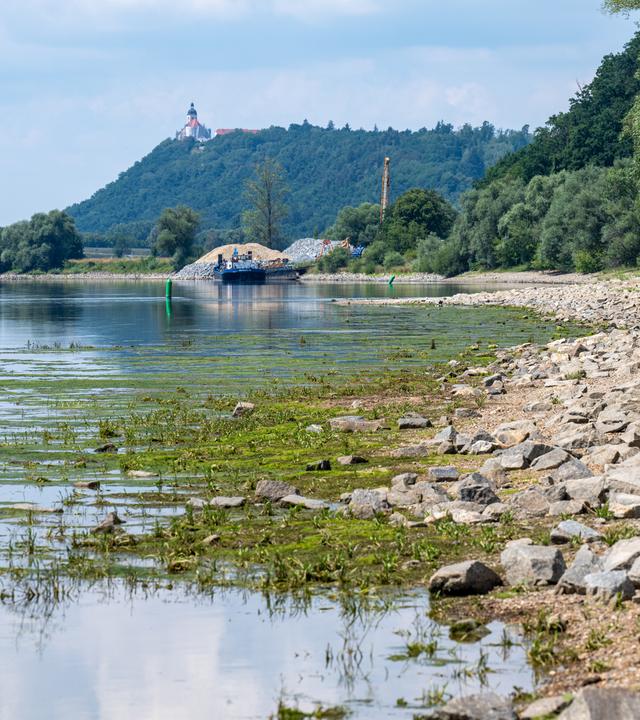 Niedriger Wasserstand der Donau.