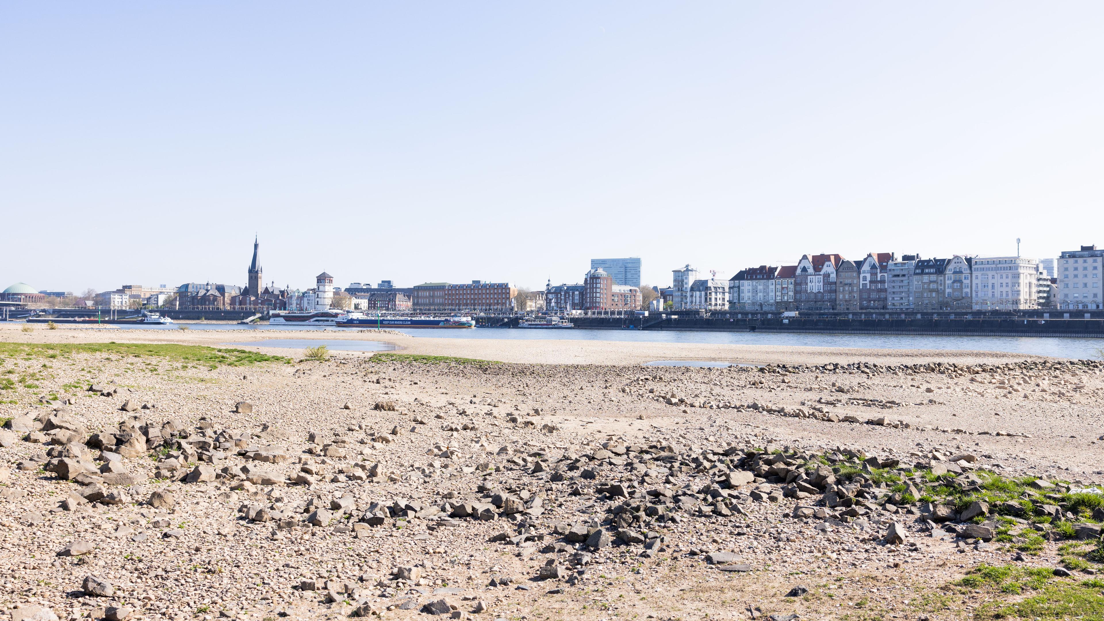 Niedrigwasser und Trockenheit herrscht am Rhein.