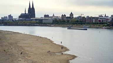Das zum Teil ausgetrocknete Flussbett des Rheins bei Köln.
