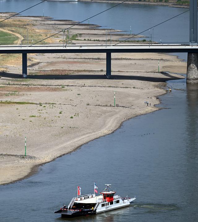 Ein Schiff fährt am Rheinufer entlang. Aufgrund der Trockenheit führt der Rhein weniger Wasser.