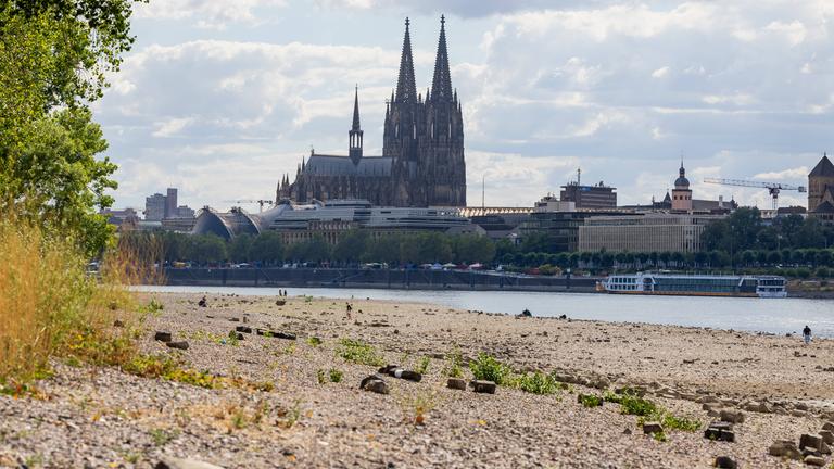 Blick vom Deutzer Rheinufer in Köln auf den Kölner Dom auf der gegenüberliegenden Rheinseite