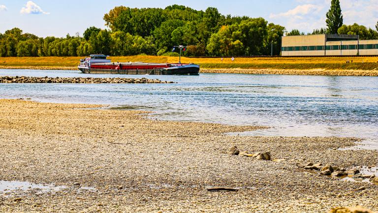 Durch das extreme Niedrigwasser liegen im Bereich des Pegels Maxau Steine im Flussbett des Rheins trocken, während im Hintergrund ein Binnenschiff vorbeifährt.