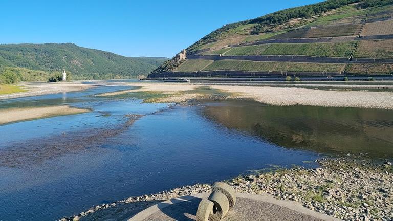 Durch das extreme Niedrigwasser liegen im Bereich der Nahemündung bei Bingen die Steine im Flussbett des Rheins trocken.