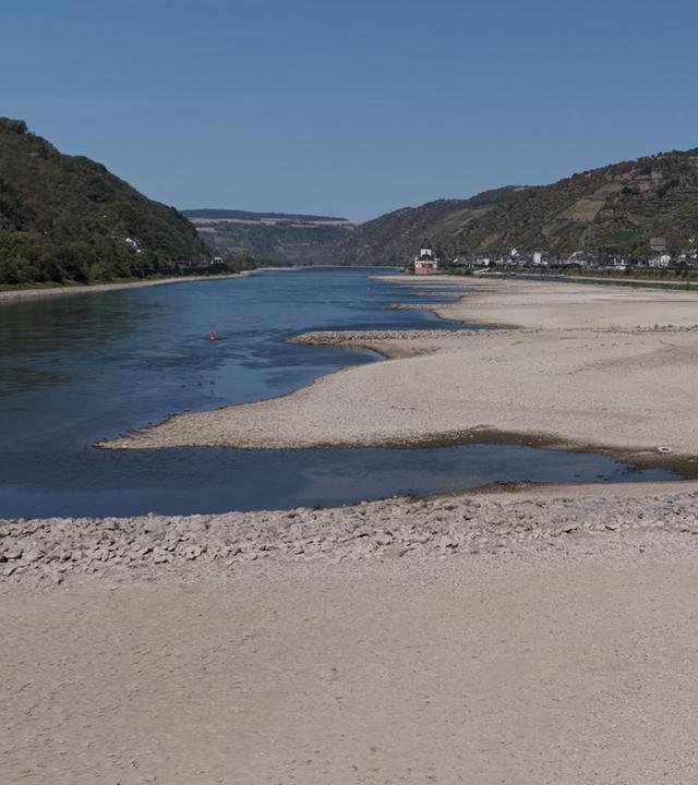 Das Niedrigwasser hat Sandbänke im Rhein freigelegt.