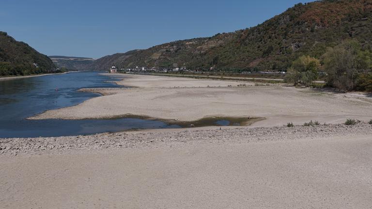 Das Niedrigwasser hat Sandbänke im Rhein freigelegt.