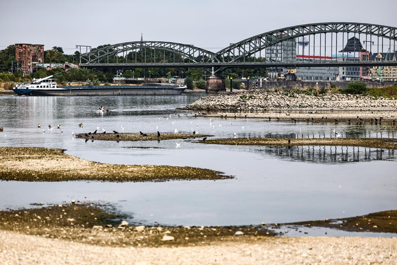 Nordrhein-Westfalen, Köln: Ein Binnenschiff fährt bei niedrigem Pegelstand unter der Südbrücke über den Rhein