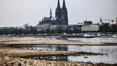 Nordrhein-Westfalen, Köln: Ein Binnenschiff fährt bei niedrigem Pegelstand am Dom vorbei über den Rhein.
