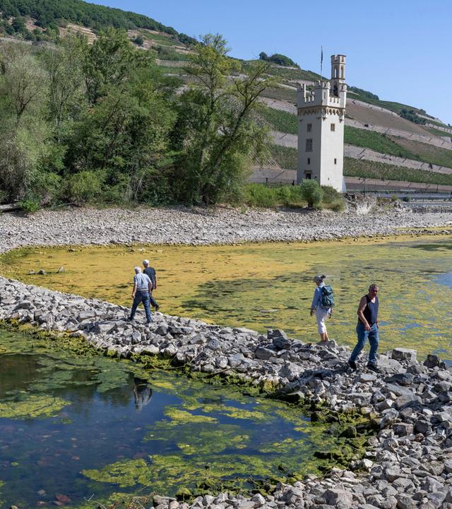 Zu Fuß gehen Spaziergänger durch das ausgetrocknete Flussbett des Rhein zum Mäuseturm bei Bingen (Luftaufnahme mit einer Drohne)